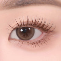 03 Volume Brown