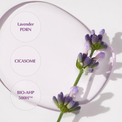 Kaine Lavender PDRN Revitalizing Toner