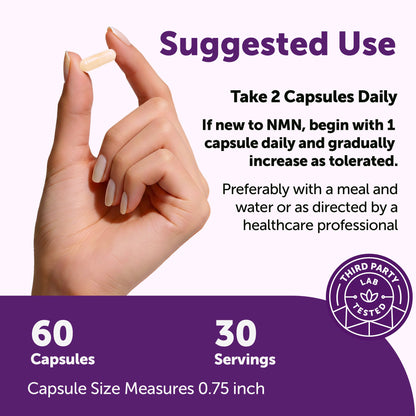 Micro Ingredients NMN Complex 1,000mg Per Serving, Veggie Capsules