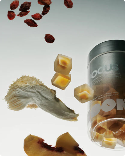 Noon Focus Mushroom Gummy Delights