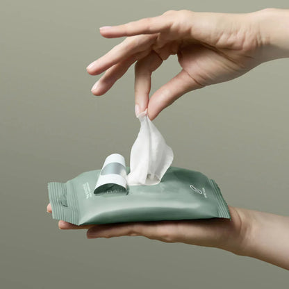 Noshinku Eucalyptus Nourishing Sanitizing Hand Wipes