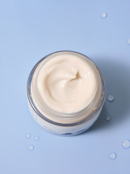 Round Lab 1025 Dokdo Light Cream