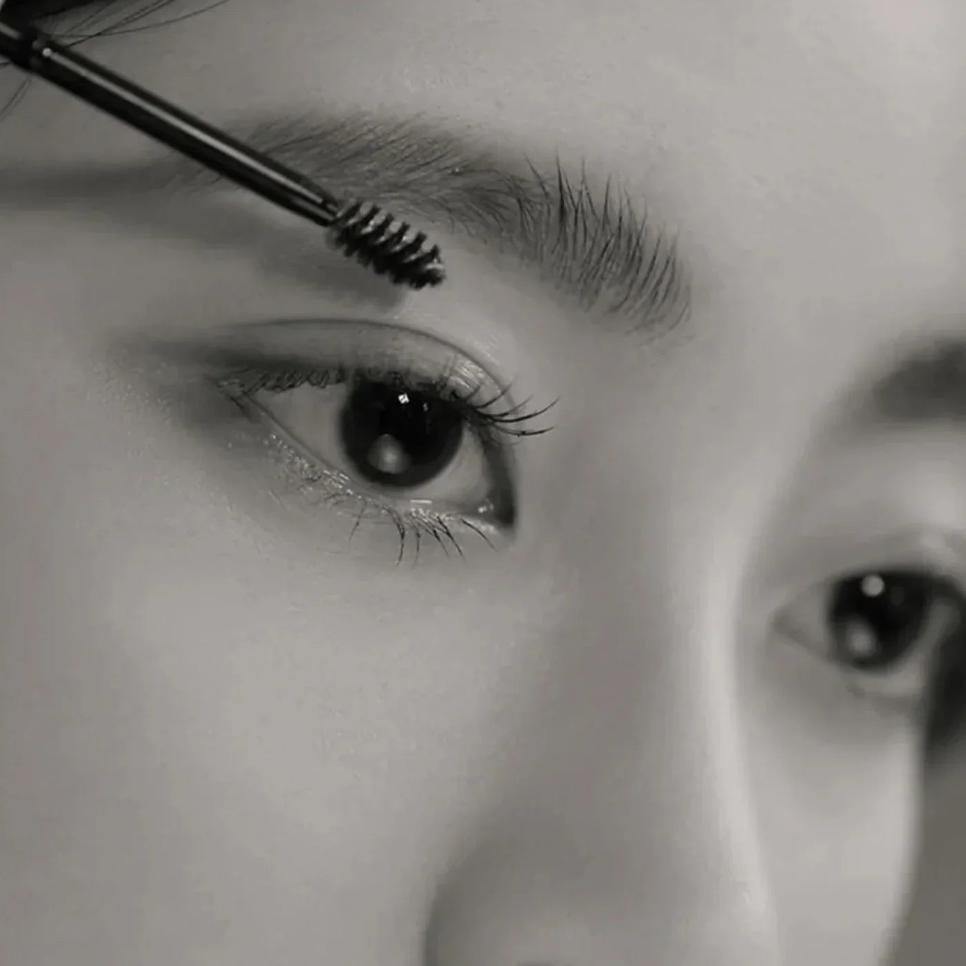 Romand Han All Brow Fixer