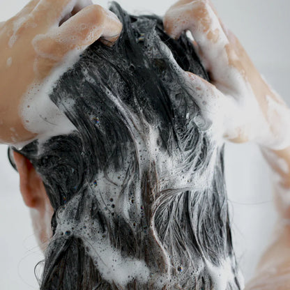 Shiseido Fino Premium Touch Shampoo